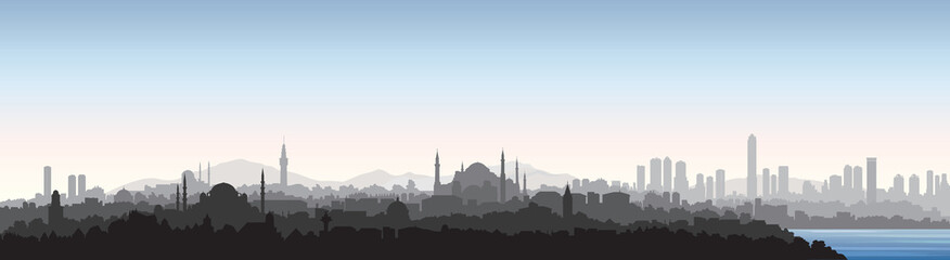 Fototapeta premium Panoramę miasta Stambuł. Podróż Turcja tło. Turecki miejski pejzaż