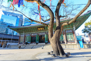Jogyesa Temple, In preparation for the birthday of Buddha, located in Jongno-gu, Seoul.