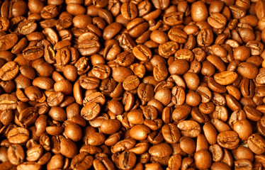 Roasted brown coffee beans pattern.
