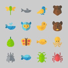 Icons about Animals with squirrel, cocoon, owl, bird, butterfly and chicken