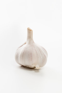 Garlic head on white background