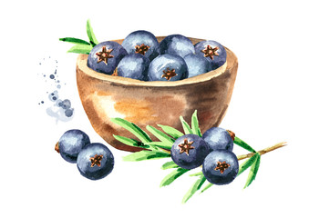 Bowl with Juniper berries. Watercolor hand drawn illustration  isolated on white background