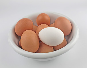 Eier in Schüssel auf weißem Hintergrund