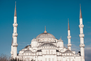 Fototapeta na wymiar View of the Blue Mosque (Sultanahmet Camii) in Istanbul
