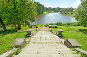 Sunny landscape in the forest.