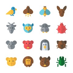 icon Animals with lion, koala, beetle, wasp and penguin