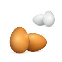 Set of white and brown eggs. Realistic 3d chicken eggs. Vector illustration isolated on white background