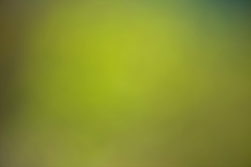 Nature gradient backdrop with bright sunlight. Abstract green blurred background. Ecology concept for your graphic design, banner or poster.