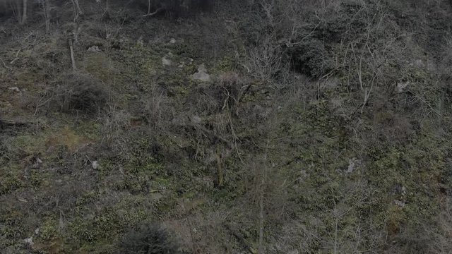 Schloss Blatten