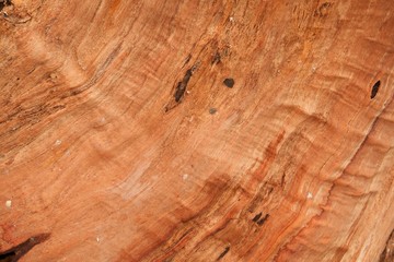 Abstract red texture of the clear old wood.