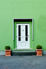 Beautiful with white door and green wall with Small Tree in earthenware Pot