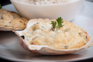 closeup of scallops shell and rice in a plate