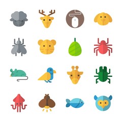 icon Animals with spider, tiger, cocoon, mouse and deer