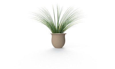 Green plant in brown vase isolated on white