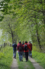 wanderer auf einem naturweg in der rhön