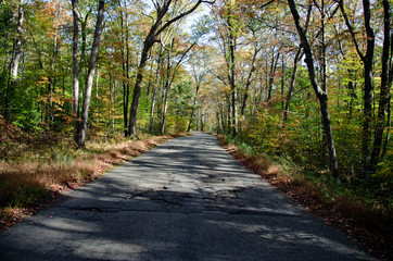 Fototapeta premium Mystic Place