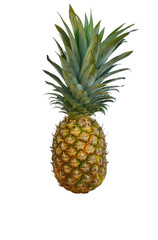 Ananas or Pineapple on white background