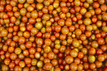 Red tomato background