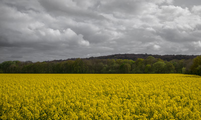 Obraz premium Nijmegen Holland