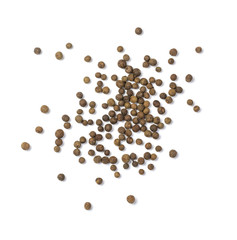 black pepper isolated