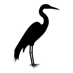 Vector image of the silhouette of the birds of the heron
