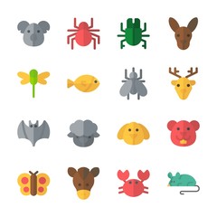 icon Animals with spider, kangaroo, mouse, deer and sheep