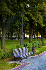 empty bench in the park