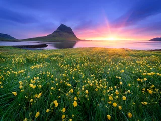 Zelfklevend Fotobehang Beautiful landscape with mountain and ocean in Iceland © Oleksandr Kotenko