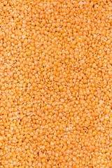 Orange lentils as background