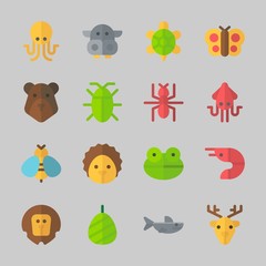 Icons about Animals with prawn, bear, frog, octobus, lion and ant