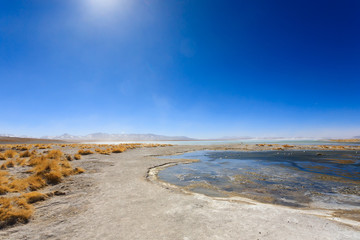 Fototapeta na wymiar Bolivian lagoon landscape,Bolivia
