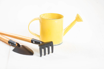 Tool kit for indoor plants on a white background.