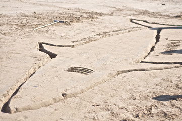 Shark Drawing on Beach