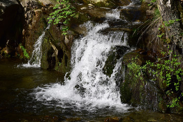 Fototapeta premium Waterfall