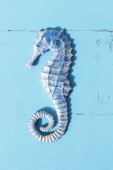 Summer board of blue Seahorse
 on blue wooden background for holiday concept 