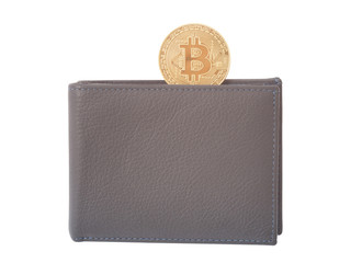 bitcoin digital coin on the wallet isolated