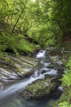 The river Breggia at the Bruzella mill, Muggio Valley, Mendrisio District, Canton Ticino, Switzerland.