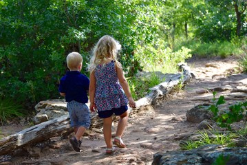 Shady Stroll