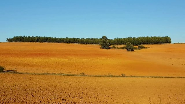 Tierras de Cultivo Aradas Recientemente y Pinar