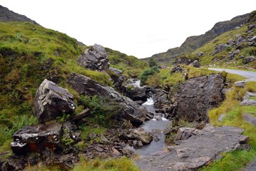 Stream on the Mountain