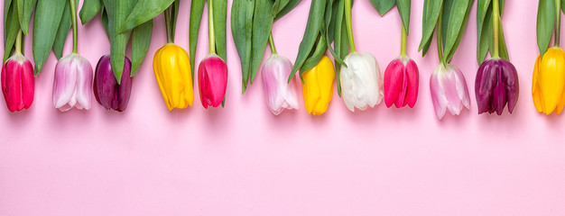 Spring background!A bouquet colorful tulips on pink background.Holiday greeting card for Valentine's Day, Woman's Day, Mother's Day, Easter!