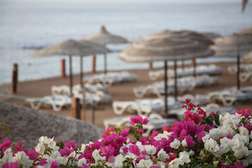 Fototapeta premium Tourist resort, Egypt, empty beach