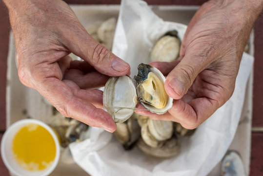 Man eating steamer clams