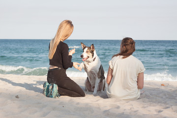 couple of young beautiful girls play with dog on the sunny beach