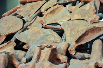 Pattern of mammoth bones. Museum exhibit
