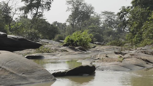 beautiful river National Park, India