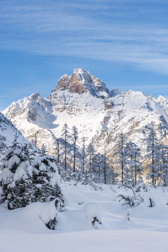 Carbonin / Schluderbach, Dobbiaco / Toblach, Dolomites, province of Bolzano, South Tyrol, Italy, Europe. The peak of Croda Rossa d' Ampezzo
