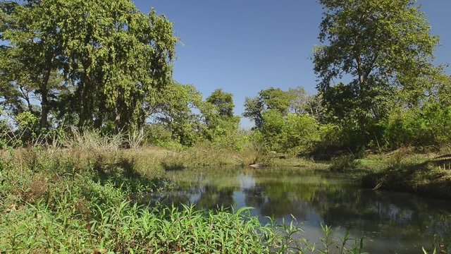 beautiful river National Park, India