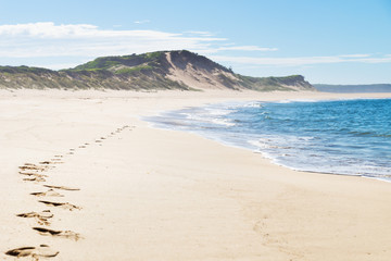 Fototapeta na wymiar Footsteps at the beach with green hills of Peterborough at the Great Ocean Road, Victoria, Australia