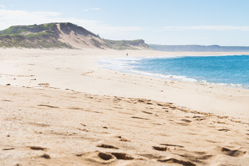 Fototapeta na wymiar Walking at beach during morning of Peterborough at the Great Ocean Road, Victoria, Australia